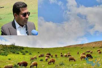 منابع طبیعی